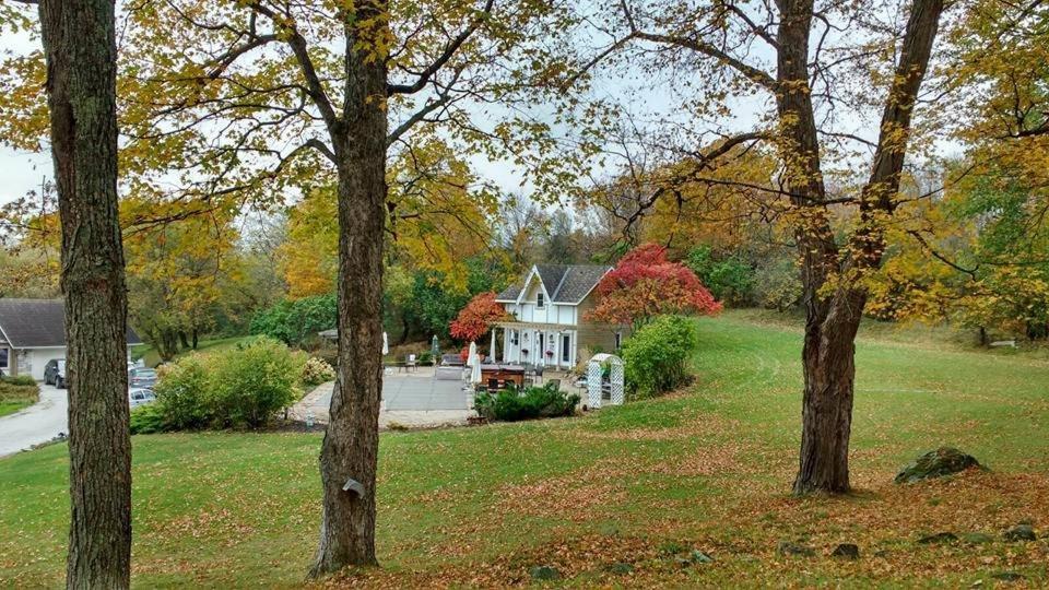 Clyde Hall Bed And Breakfast Lanark ภายนอก รูปภาพ